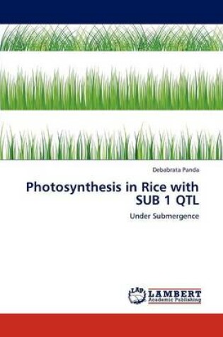 Cover of Photosynthesis in Rice with Sub 1 Qtl