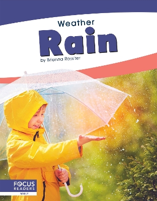 Book cover for Rain