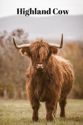 Book cover for Highland Cow