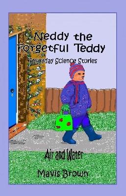 Book cover for Neddy the Forgetful Teddy Everyday Science Stories