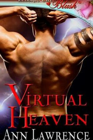 Cover of Virtual Heaven