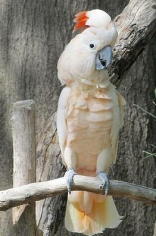 Cover of White Cockatoo Bird Journal