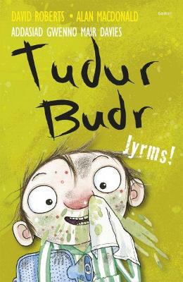Book cover for Tudur Budr: Jyrms!