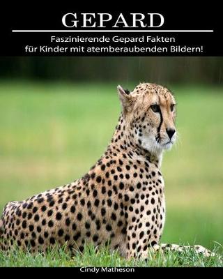 Book cover for Gepard