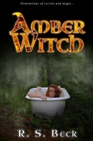 Cover of Amber Witch