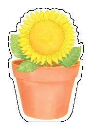 Cover of Sunflower Notepad