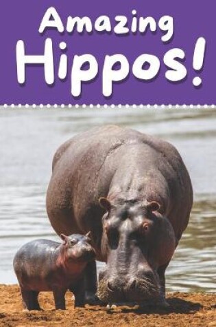 Cover of Amazing Hippos!