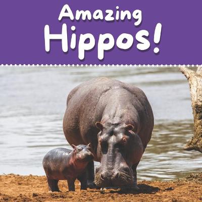 Cover of Amazing Hippos!