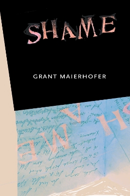 Book cover for Shame