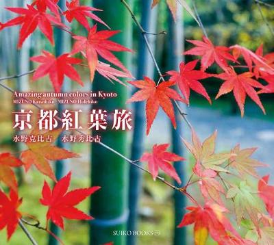 Book cover for Amazing Autumn Colors in Kyoto