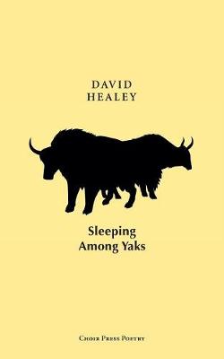 Book cover for Sleeping Among Yaks