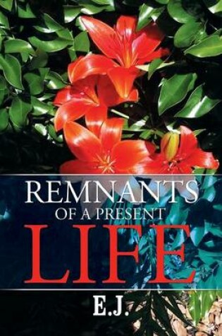 Cover of Remnants of a Present Life