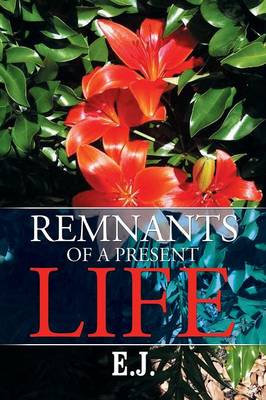 Book cover for Remnants of a Present Life