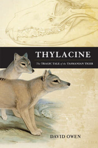 Cover of Thylacine