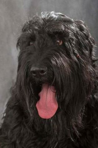 Cover of The Black Russian Terrier Dog Journal