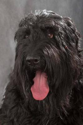 Book cover for The Black Russian Terrier Dog Journal