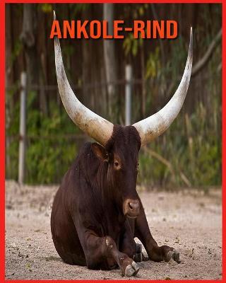 Book cover for Ankole-Rind