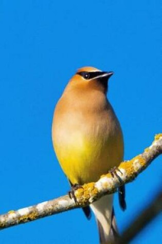 Cover of Cedar Waxwing (Bombycilla Cedrorum) Bird Journal