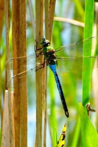 Cover of Blue & Green Dragonfly Lined Journal for daily thoughts notebook Lovely Lake Arrowhead Photograph