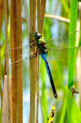 Cover of Blue & Green Dragonfly Lined Journal for daily thoughts notebook Lovely Lake Arrowhead Photograph