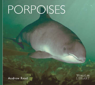 Cover of Porpoises