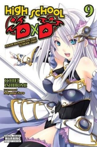 Cover of High School DxD, Vol. 9 (light novel)