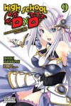 Book cover for High School DxD, Vol. 9 (light novel)