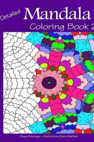 Cover of Detailed Mandala Coloring Book 2