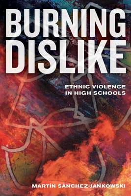Book cover for Burning Dislike