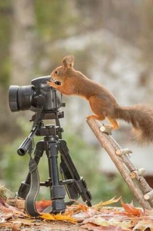 Cover of Meet Gray Squirrel--Nature Photographer at Work Journal