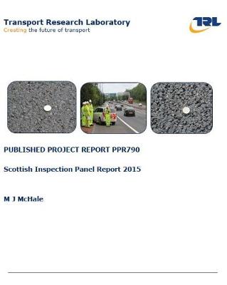 Book cover for Scottish inspection panel report