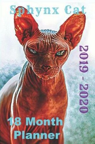 Cover of Sphynx Cat 2019 - 2020 18 Month Planner