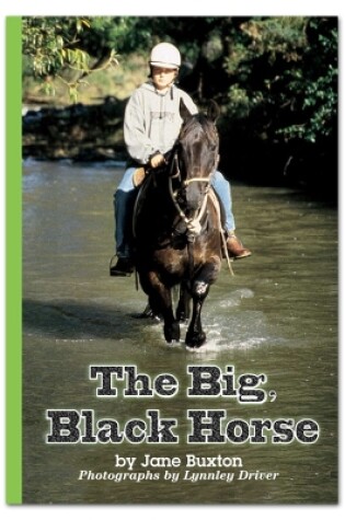 Cover of RAINBOW READING THE BIG BLACK