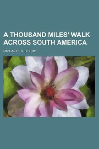 Cover of A Thousand Miles' Walk Across South America