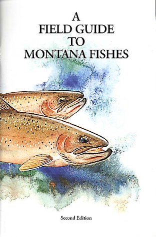 Book cover for Field Guide to Montana Fishes