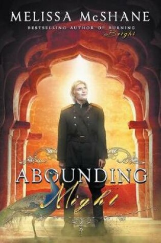 Cover of Abounding Might