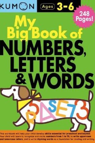 Cover of My Big Book of Numbers, Letters and Words