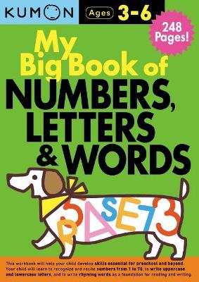 Book cover for My Big Book of Numbers, Letters and Words