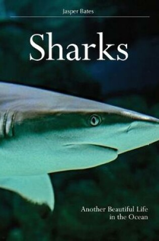 Cover of Sharks, Another beautiful life in the ocean