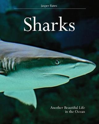 Cover of Sharks, Another beautiful life in the ocean