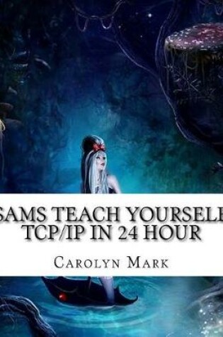 Cover of Sams Teach Yourself TCP/IP in 24 Hour