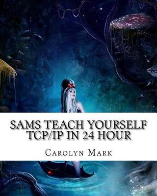 Book cover for Sams Teach Yourself TCP/IP in 24 Hour