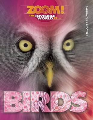 Book cover for Birds