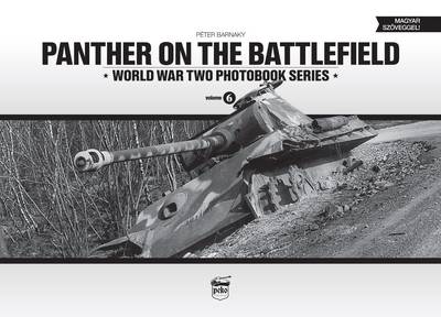 Book cover for Panther on the Battlefield: World War Two Photobook Series