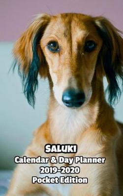 Book cover for Saluki Calendar & Day Planner 2019-2020 Pocket Edition