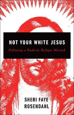 Book cover for Not Your White Jesus