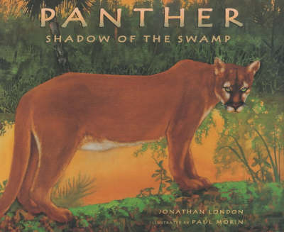 Book cover for Panther