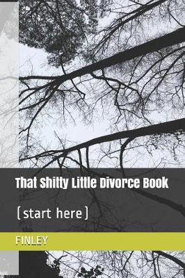 Book cover for That Shitty Little Divorce Book