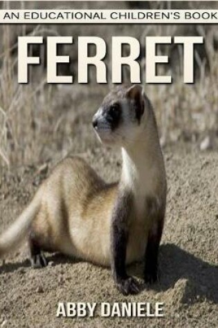 Cover of Ferret! An Educational Children's Book about Ferret with Fun Facts & Photos