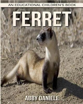 Book cover for Ferret! An Educational Children's Book about Ferret with Fun Facts & Photos